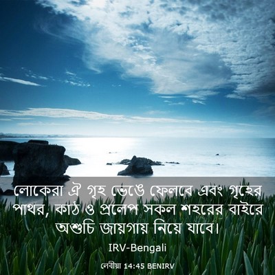 Picture 03 - লেবীয়া 14:45 BENIRV - লোকেরা ঐ গৃহ ভেঙে - Bible Verse Picture