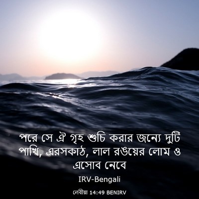 Picture 03 - লেবীয়া 14:49 BENIRV - পরে সে ঐ গৃহ শুচি - Bible Verse Picture
