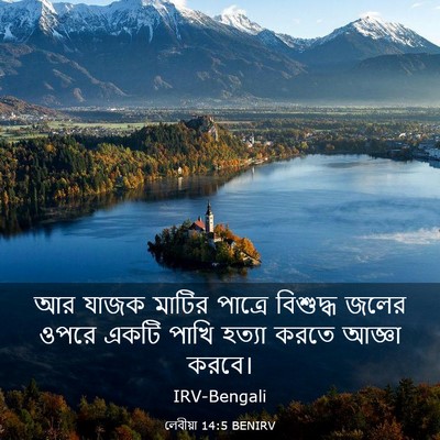 Picture 03 - লেবীয়া 14:5 BENIRV - আর যাজক মাটির - Bible Verse Picture