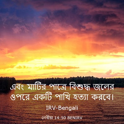Picture 03 - লেবীয়া 14:50 BENIRV - এবং মাটির পাত্রে - Bible Verse Picture