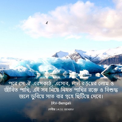 Picture 03 - লেবীয়া 14:51 BENIRV - পরে সে ঐ এরসকাঠ, - Bible Verse Picture