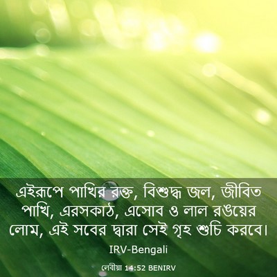 Picture 03 - লেবীয়া 14:52 BENIRV - এইরূপে পাখির রক্ত, - Bible Verse Picture