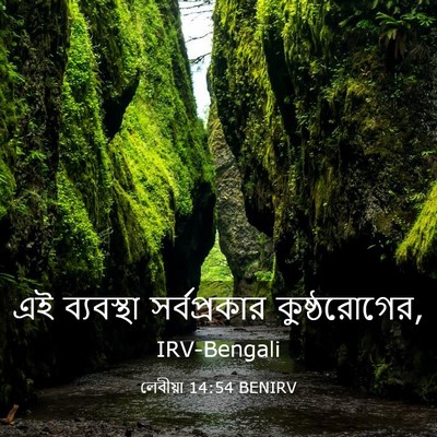 Picture 03 - লেবীয়া 14:54 BENIRV - এই ব্যবস্থা - Bible Verse Picture