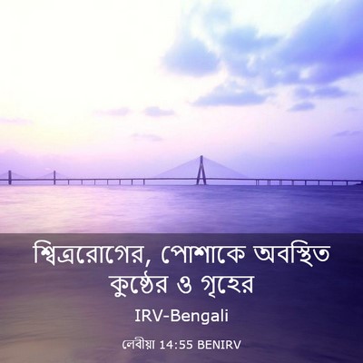 Picture 03 - লেবীয়া 14:55 BENIRV - শ্বিত্ররোগের, - Bible Verse Picture