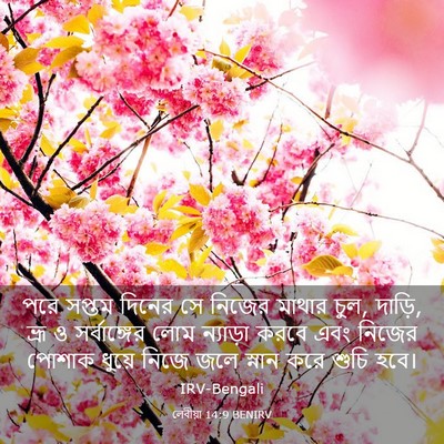 Picture 03 - লেবীয়া 14:9 BENIRV - পরে সপ্তম দিনের সে - Bible Verse Picture