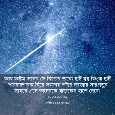 Picture 03 - লেবীয়া 15:14 BENIRV - আর অষ্টম দিনের সে - Bible Verse Picture