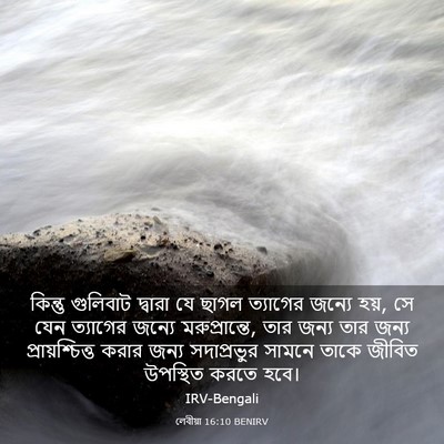 Picture 03 - লেবীয়া 16:10 BENIRV - কিন্তু গুলিবাট - Bible Verse Picture