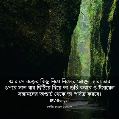 Picture 03 - লেবীয়া 16:19 BENIRV - আর সে রক্তের কিছু - Bible Verse Picture