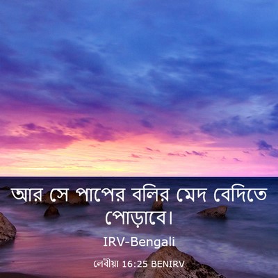 Picture 03 - লেবীয়া 16:25 BENIRV - আর সে পাপের বলির - Bible Verse Picture