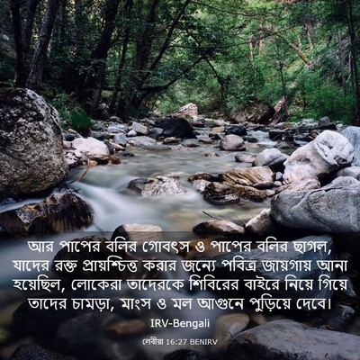 Picture 03 - লেবীয়া 16:27 BENIRV - আর পাপের বলির - Bible Verse Picture