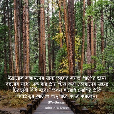 Picture 03 - লেবীয়া 16:34 BENIRV - ইস্রায়েল - Bible Verse Picture