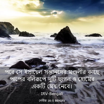 Picture 03 - লেবীয়া 16:5 BENIRV - পরে সে ইস্রায়েল - Bible Verse Picture