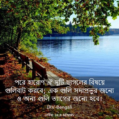 Picture 03 - লেবীয়া 16:8 BENIRV - পরে হারোণ ঐ দুটি - Bible Verse Picture