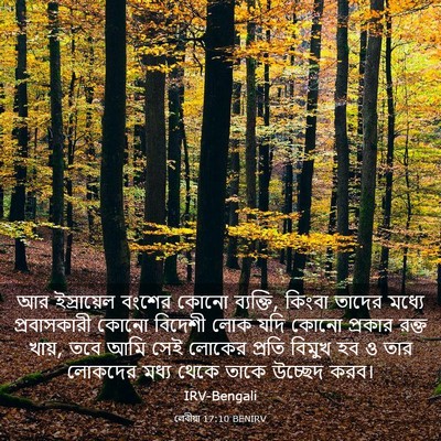 Picture 03 - লেবীয়া 17:10 BENIRV - আর ইস্রায়েল - Bible Verse Picture