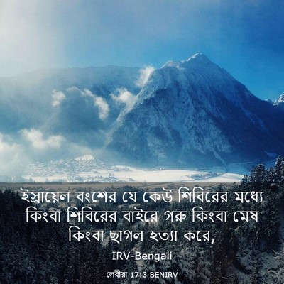 Picture 03 - লেবীয়া 17:3 BENIRV - ইস্রায়েল বংশের - Bible Verse Picture