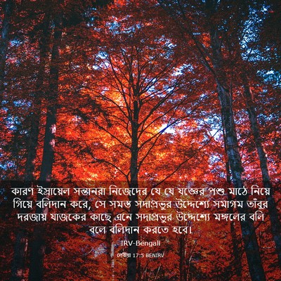 Picture 03 - লেবীয়া 17:5 BENIRV - কারণ ইস্রায়েল - Bible Verse Picture