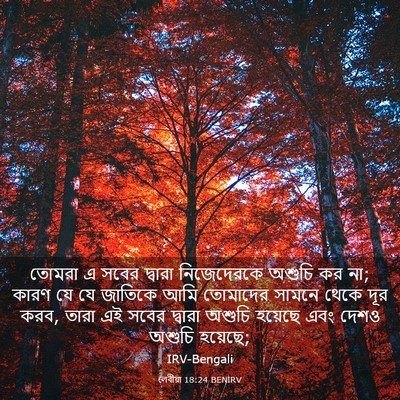 Picture 03 - লেবীয়া 18:24 BENIRV - তোমরা এ সবের - Bible Verse Picture