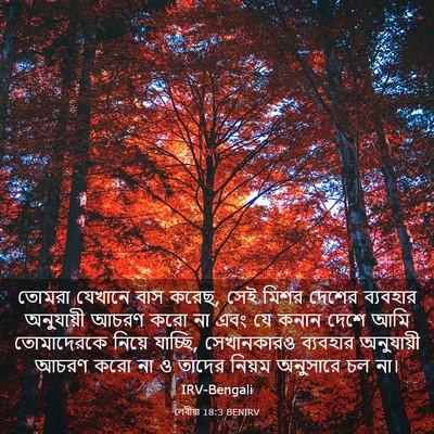 Picture 03 - লেবীয়া 18:3 BENIRV - তোমরা যেখানে বাস - Bible Verse Picture