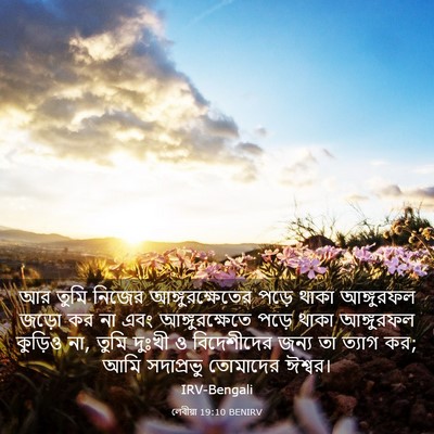 Picture 03 - লেবীয়া 19:10 BENIRV - আর তুমি নিজের - Bible Verse Picture