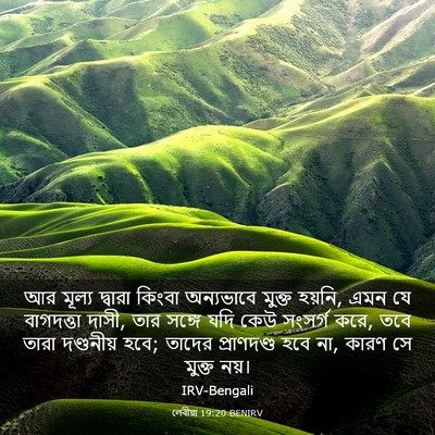 Picture 03 - লেবীয়া 19:20 BENIRV - আর মূল্য দ্বারা - Bible Verse Picture