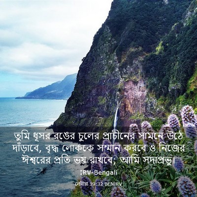Picture 03 - লেবীয়া 19:32 BENIRV - তুমি ধূসর রঙের - Bible Verse Picture