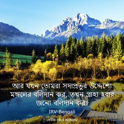 Picture 03 - লেবীয়া 19:5 BENIRV - আর যখন তোমরা - Bible Verse Picture