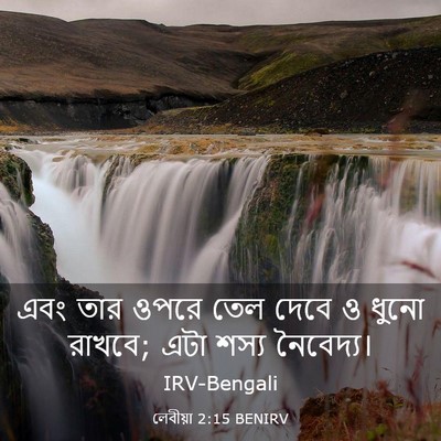 Picture 03 - লেবীয়া 2:15 BENIRV - এবং তার ওপরে তেল - Bible Verse Picture