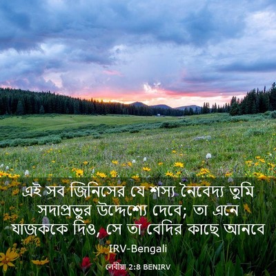 Picture 03 - লেবীয়া 2:8 BENIRV - এই সব জিনিসের যে - Bible Verse Picture