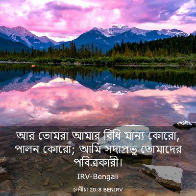 Picture 03 - লেবীয়া 20:8 BENIRV - আর তোমরা আমার বিধি - Bible Verse Picture