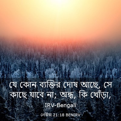 Picture 03 - লেবীয়া 21:18 BENIRV - যে কোন ব্যক্তির - Bible Verse Picture