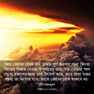 Picture 03 - লেবীয়া 22:21 BENIRV - আর কোনো লোক যদি - Bible Verse Picture