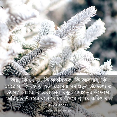 Picture 03 - লেবীয়া 22:22 BENIRV - অন্ধ, কি খোঁড়া, কি - Bible Verse Picture