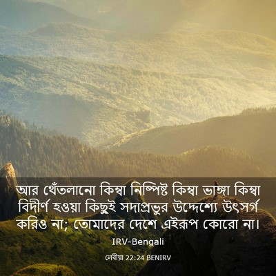 Picture 03 - লেবীয়া 22:24 BENIRV - আর থেঁতলানো - Bible Verse Picture