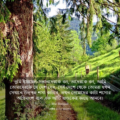 Picture 03 - লেবীয়া 23:10 BENIRV - তুমি - Bible Verse Picture