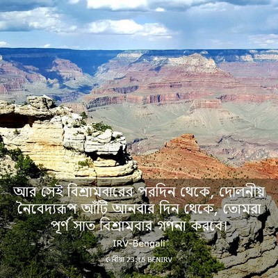 Picture 03 - লেবীয়া 23:15 BENIRV - আর সেই - Bible Verse Picture
