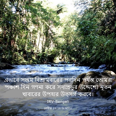 Picture 03 - লেবীয়া 23:16 BENIRV - এভাবে সপ্তম - Bible Verse Picture
