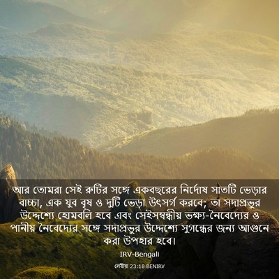 Picture 03 - লেবীয়া 23:18 BENIRV - আর তোমরা সেই রুটির - Bible Verse Picture