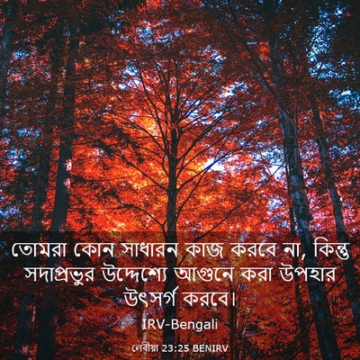 Picture 03 - লেবীয়া 23:25 BENIRV - তোমরা কোন সাধারন - Bible Verse Picture