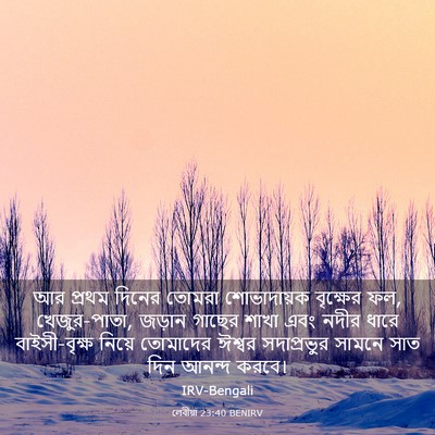 Picture 03 - লেবীয়া 23:40 BENIRV - আর প্রথম দিনের - Bible Verse Picture