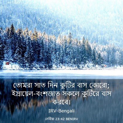 Picture 03 - লেবীয়া 23:42 BENIRV - তোমরা সাত দিন - Bible Verse Picture