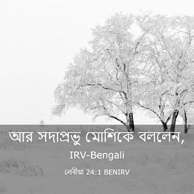 Picture 03 - লেবীয়া 24:1 BENIRV - আর সদাপ্রভু - Bible Verse Picture