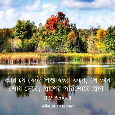 Picture 03 - লেবীয়া 24:18 BENIRV - আর যে কেউ পশু হত্যা - Bible Verse Picture