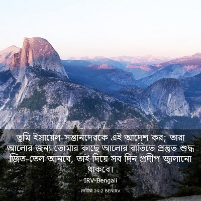 Picture 03 - লেবীয়া 24:2 BENIRV - তুমি - Bible Verse Picture
