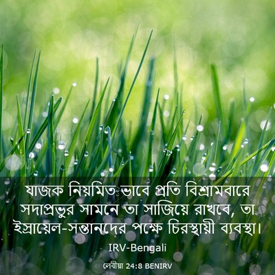 Picture 03 - লেবীয়া 24:8 BENIRV - যাজক নিয়মিত ভাবে - Bible Verse Picture