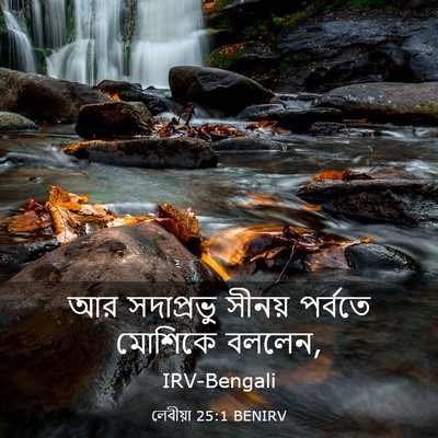 Picture 03 - লেবীয়া 25:1 BENIRV - আর সদাপ্রভু সীনয় - Bible Verse Picture