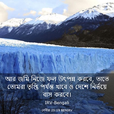 Picture 03 - লেবীয়া 25:19 BENIRV - আর জমি নিজে ফল - Bible Verse Picture