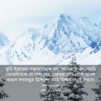 Picture 03 - লেবীয়া 25:2 BENIRV - তুমি - Bible Verse Picture