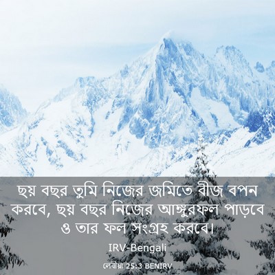 Picture 03 - লেবীয়া 25:3 BENIRV - ছয় বছর তুমি নিজের - Bible Verse Picture