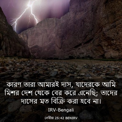 Picture 03 - লেবীয়া 25:42 BENIRV - কারণ তারা আমারই - Bible Verse Picture