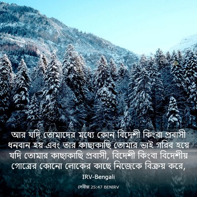 Picture 03 - লেবীয়া 25:47 BENIRV - আর যদি তোমাদের - Bible Verse Picture